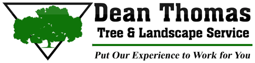 Dean Thomas Tree Services - logo